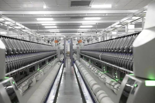 关注 天之华集团获授国家涡流纺纱线产品开发基地